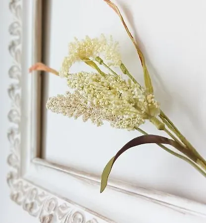 Airtegal A Capelada Apartman *