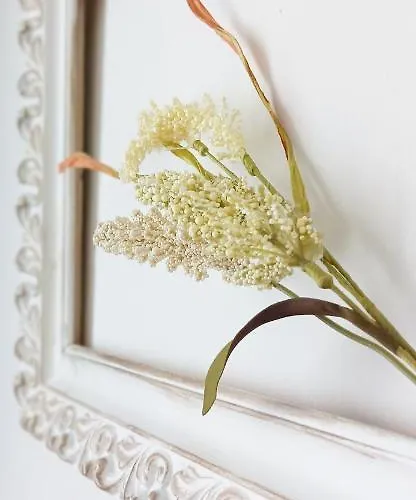 Airtegal A Capelada Daire *